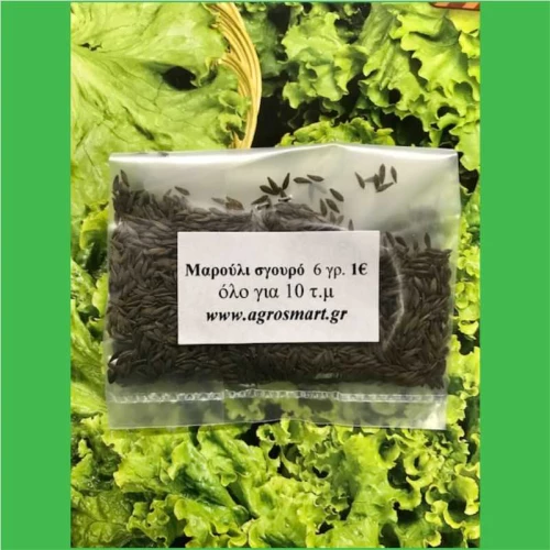 Μαρούλι Σγουρό Βlack Simpson 0,5kg