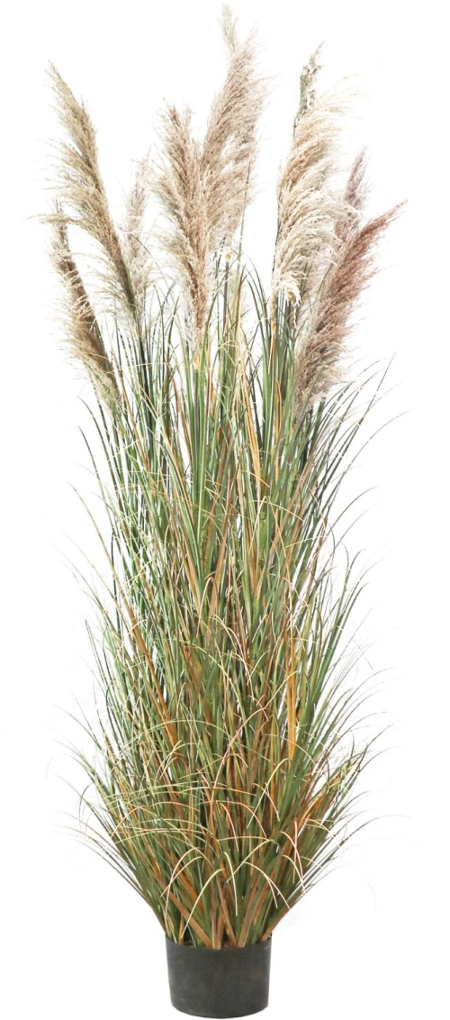 Supergreens Τεχνητο Φυτό Χορτάρι "Reed" Πράσινο 280 εκ.