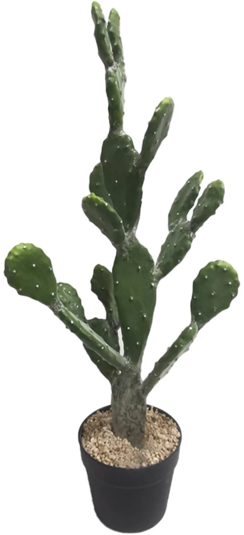 Supergreens Τενητό Φυτό Φραγκοσυκιά "Opuntia" 76 εκ.