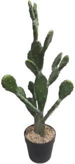 Supergreens Τενητό Φυτό Φραγκοσυκιά "Opuntia" 76 εκ.