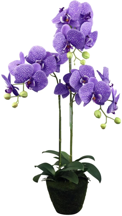Supergreens Τεχνητό Φυτό Ορχιδέα Phalaenopsis Μωβ 80 εκ.