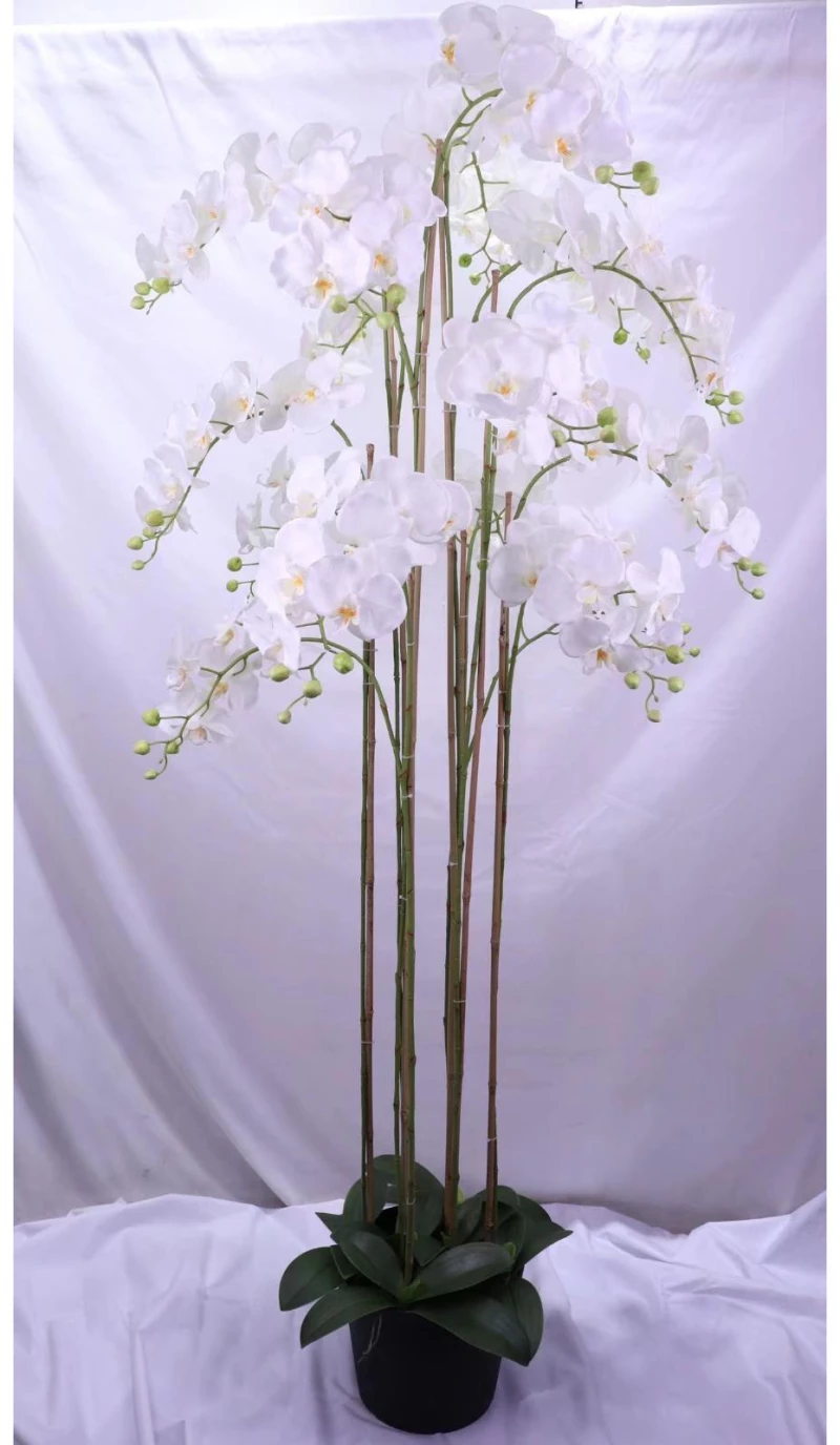 Supergreens Τεχνητό Φυτό Ορχιδέα Phalaenopsis Λευκό 180 εκ.