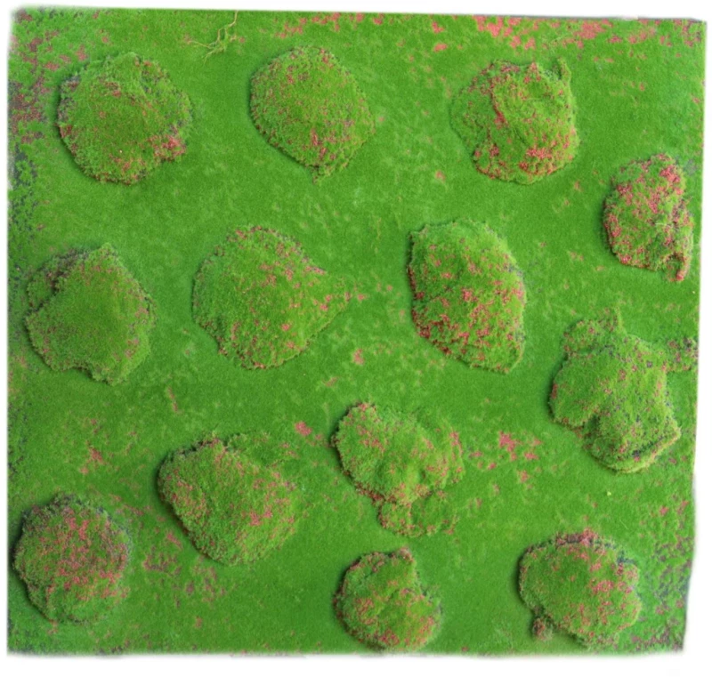 Supergreens Τεχνητή Φυλλωσιά Moss "Pebble" Πράσινη 100x100 εκ.
