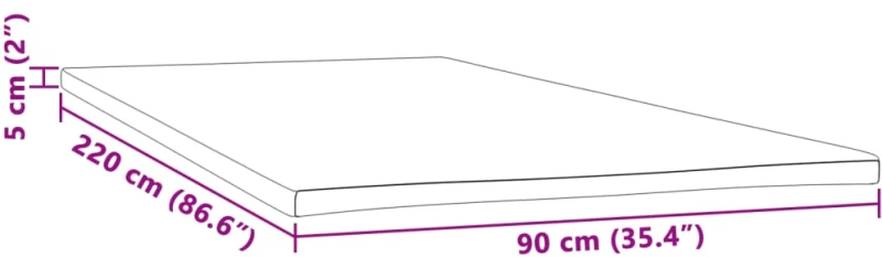 vidaXL Ανώστρωμα 90x220x5 εκ.