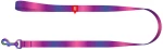 WAUDOG gradient nylon dog leash, 20mm wide, 122cm long, purple
