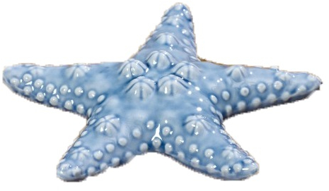 Θαλασσινά ζωάκια πορσ.13εκ.