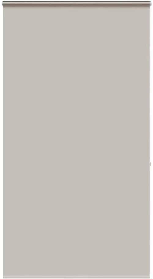 Κουρτίνα Μπάνιου Ρολό κασέτα 120x240εκ. Πλάτος υφάσματος 116εκ. Ανοιχτό γκρι 4014992