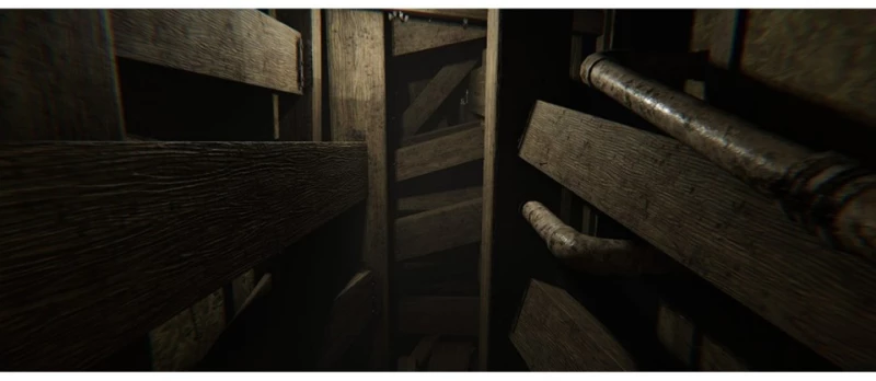 MADiSON - Possessed Edition / PlayStation 5