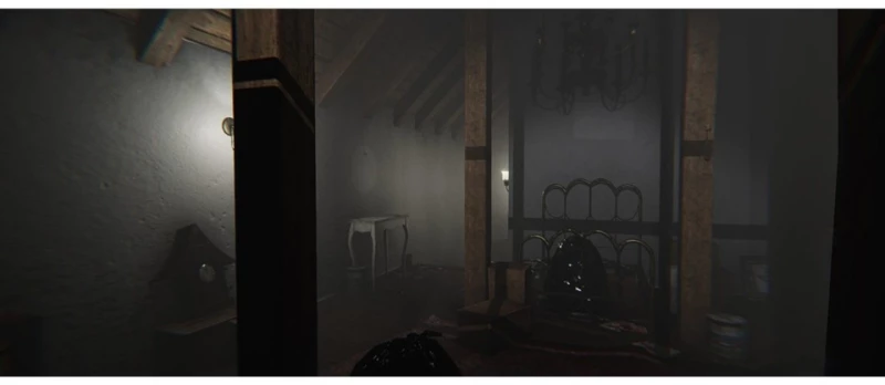 MADiSON - Possessed Edition / PlayStation 5