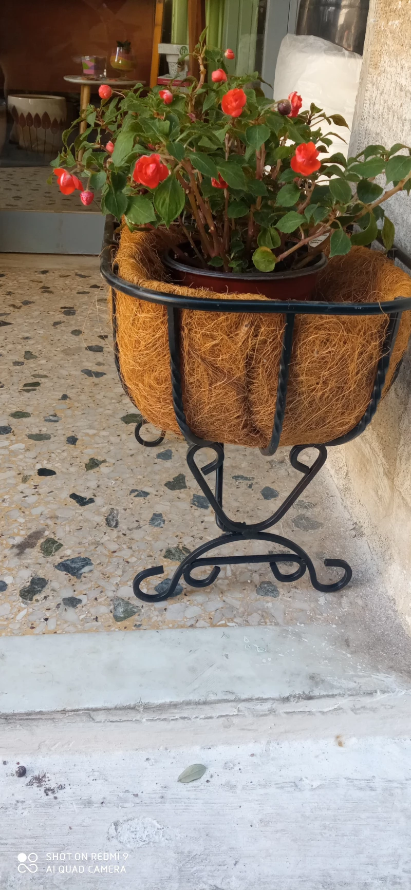 Ζαρτινιέρα Υπερυψωμένη 60cm