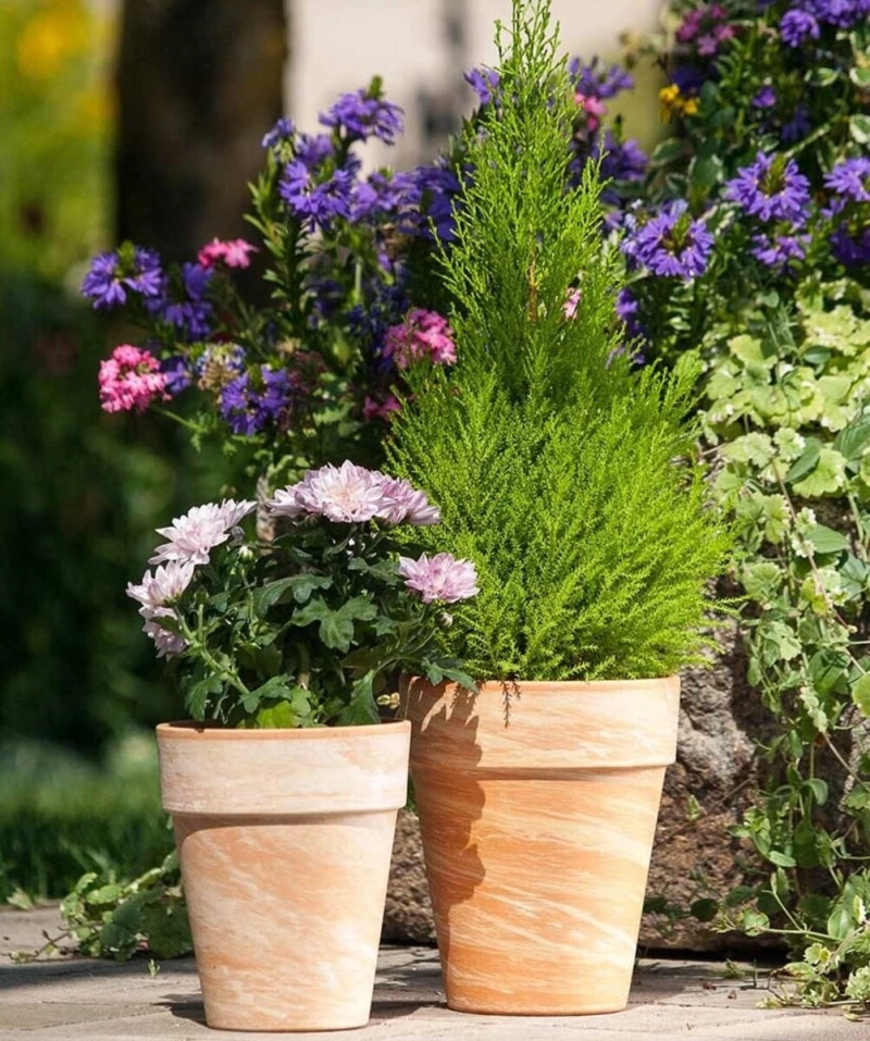 Κλασική Πήλινη Γλάστρα Teracota Επιμαρμαρωμένο 21 cm x 25 cm