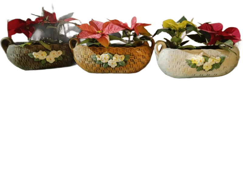 Κεραμική Ζαρντινιέρα Με Λουλούδια 16cm×38cm Λευκό
