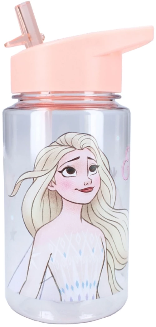 Παγούρι Νερού 450ml Frozen II