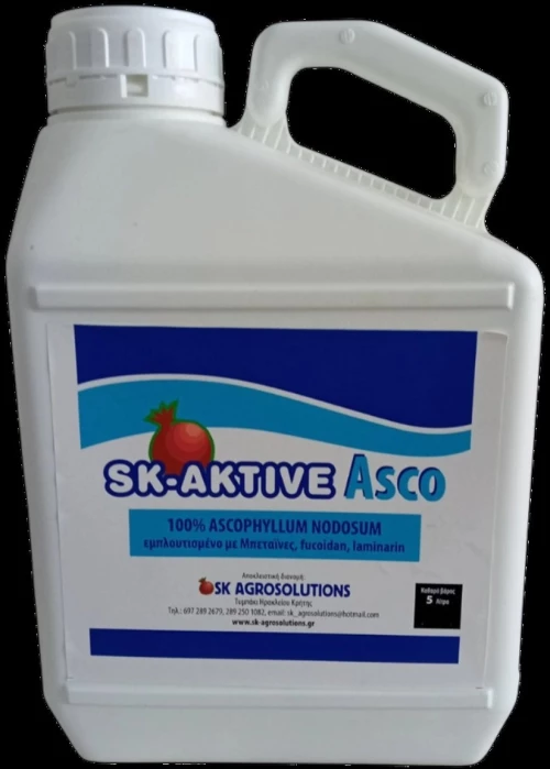 SK AKTIVE ASCO 5 lt