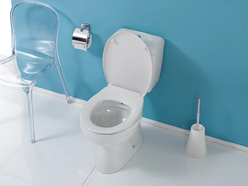 Λεκάνη Δαπέδου με καζανάκι Cerastyle LILA 028300-w Κατωστόμια