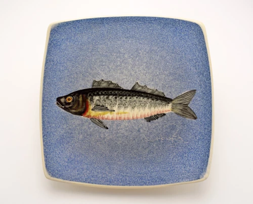 Πιάτο Τετράγωνο Κεραμικό Χειροποίητο Λαβράκι Μπλε - 14cm