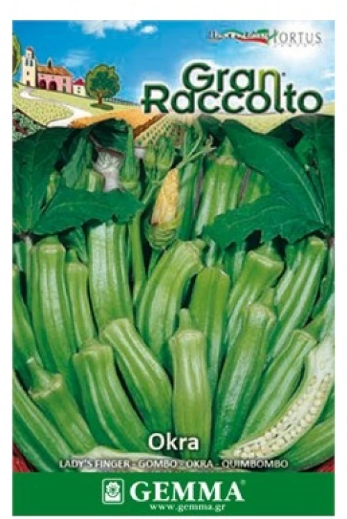 Μπάμια raccolto 0306 Φάκελος