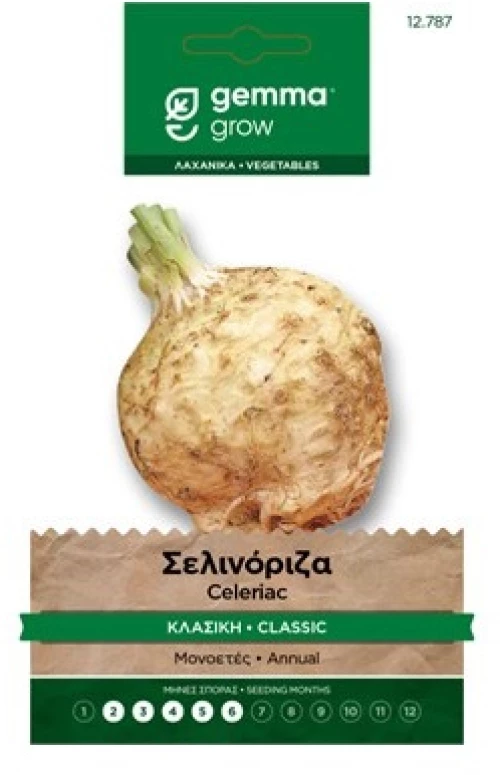 Σελινόριζα κλασική Φάκελος