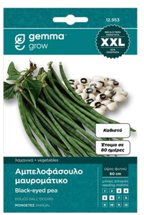 Φασόλι 853 αμπελοφάσουλο νάνο 10τεμ