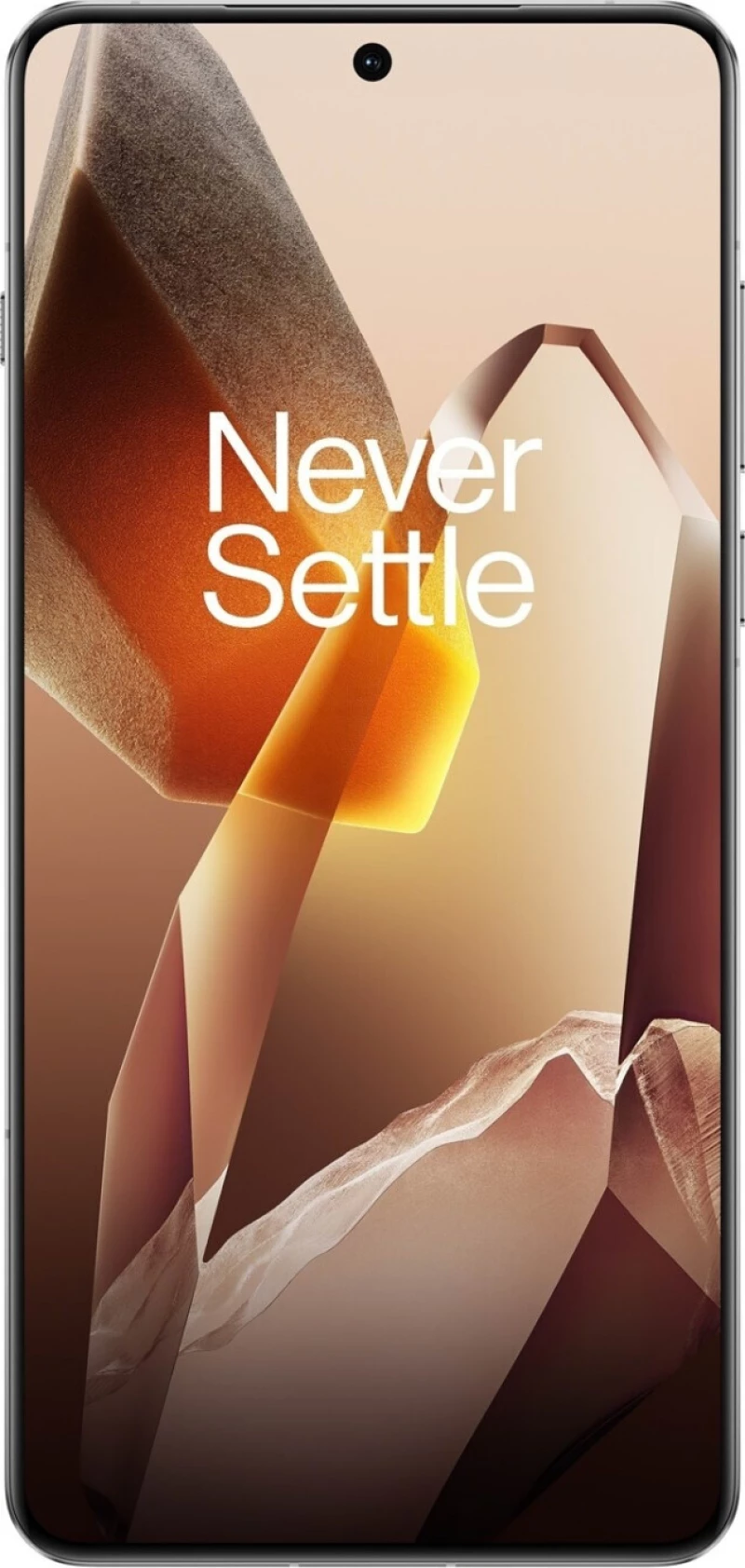 OnePlus 13 5G (16GB/512GB) Arctic Dawn