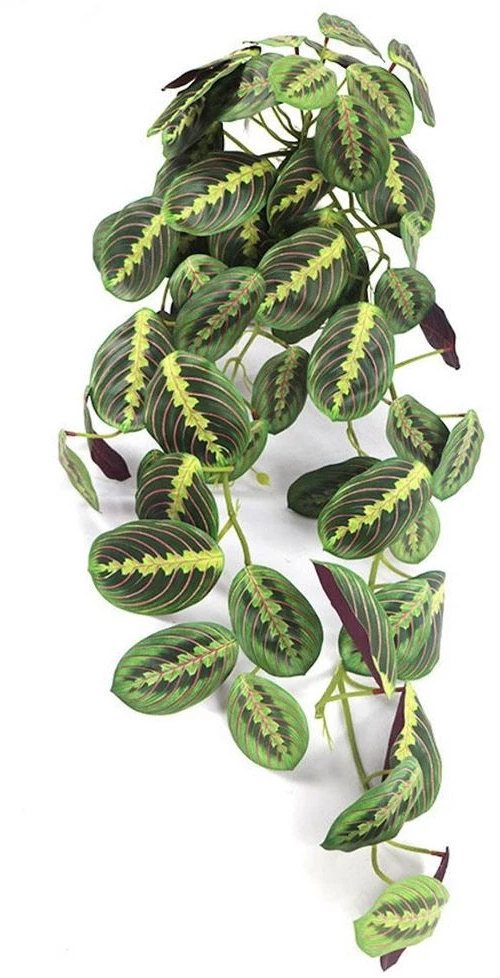 Τεχνητή Κρεμαστή Καλαθέα Maranta 4091-7 85cm Green Supergreens Πολυαιθυλένιο