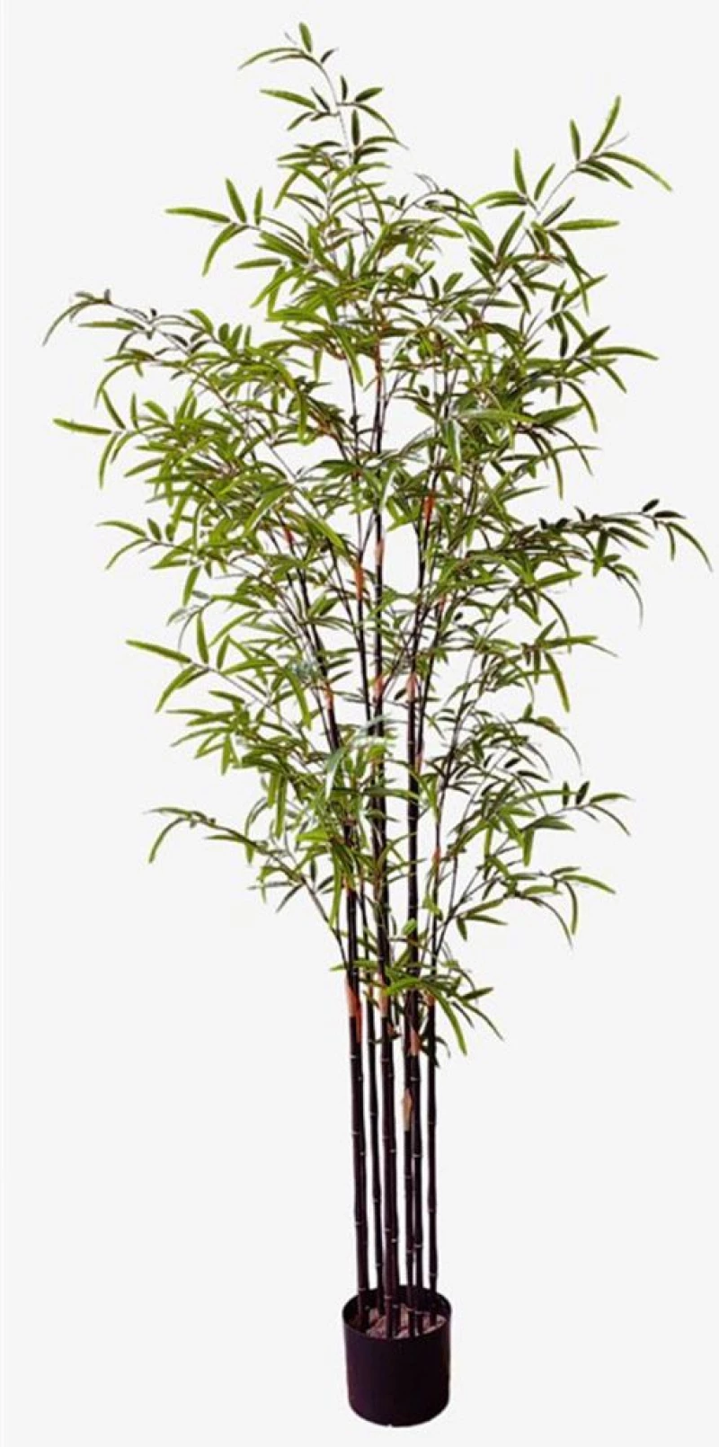 Τεχνητό Δέντρο Μπαμπού 5001-6 Nigra 180cm Green Supergreens Πολυαιθυλένιο