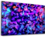 Πίνακας Γυάλινος 672BRS1949 110x70cm Multi Wallity Οριζόντιοι Γυαλί