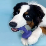 Κόκαλο Nylabone Μπλε Bacon L