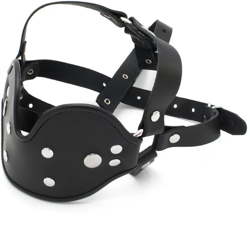 Leather Head Mounted Mouth Gag