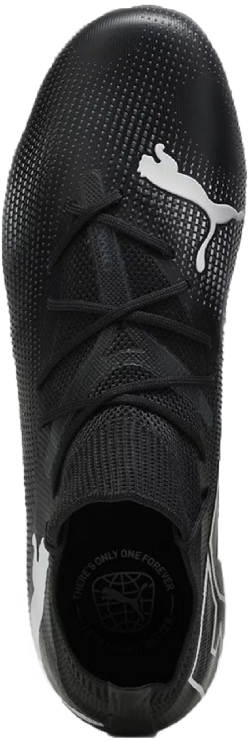 Puma Future 7 Match FG/AG 107715-02