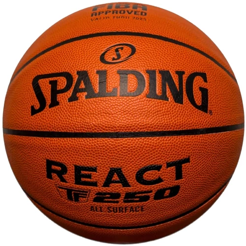 Spalding React TF-250
 Ball 76968Z