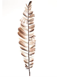 Κλαδί με πούπουλα Η80cm
