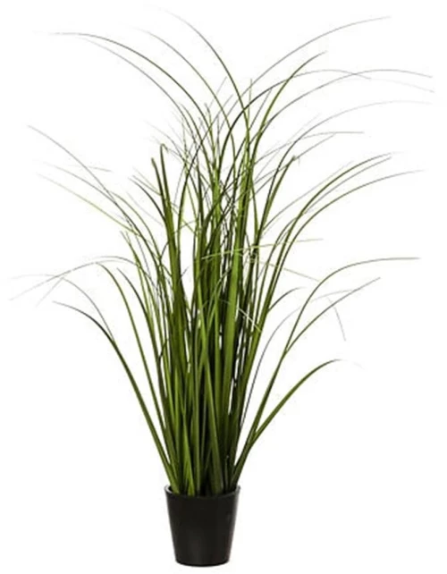 Φυτό σε κασπώ  Φ9,5Η58cm