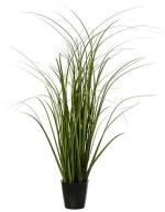 Φυτό σε κασπώ  Φ9,5Η58cm