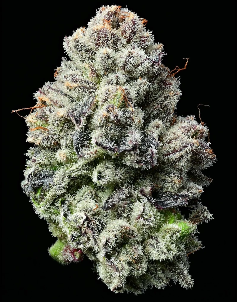 Barneys Farm Lemon Cherry Gelato
