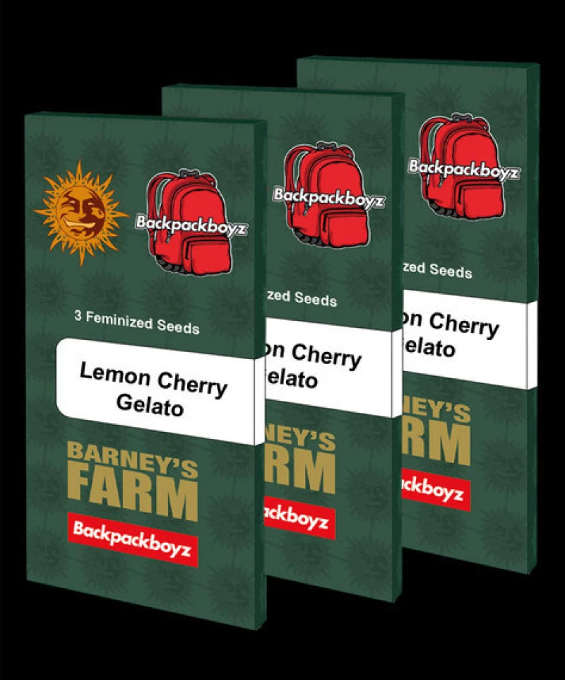 Barneys Farm Lemon Cherry Gelato