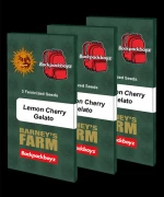 Barneys Farm Lemon Cherry Gelato