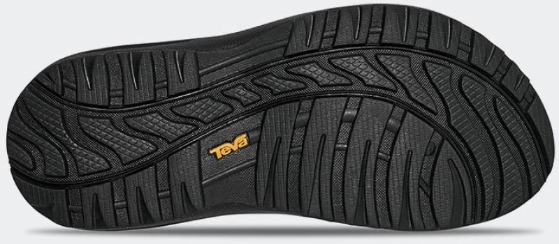 TEVA Winsted - 1017424-AVF