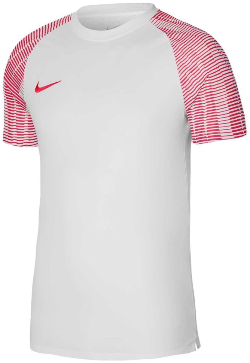 Nike Junior Academy DH8369-100