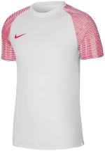 Nike Junior Academy DH8369-100