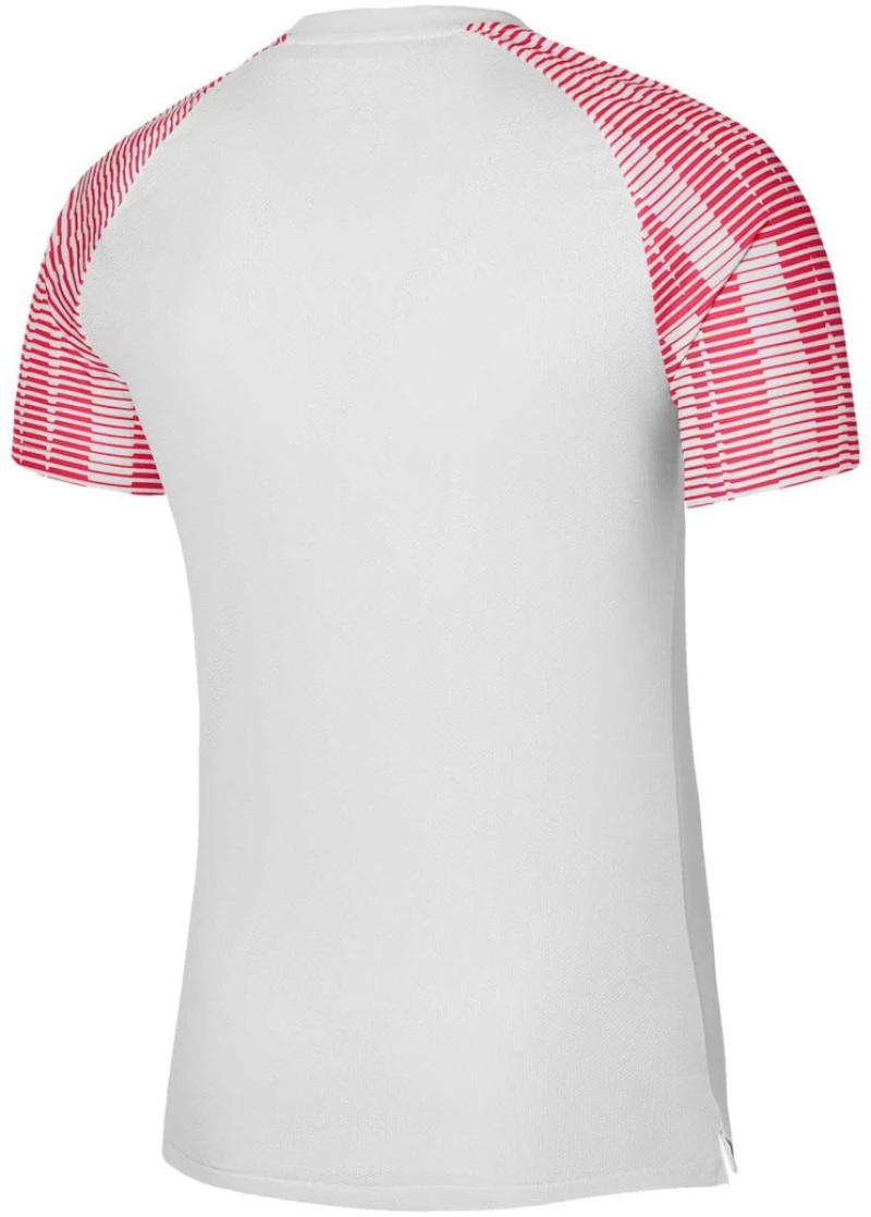 Nike Junior Academy DH8369-100