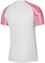 Nike Junior Academy DH8369-100
