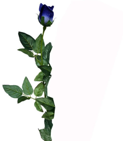 Κλαδί Μπακαράς Μπλε Y78Cm