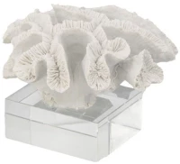 Διακοσμητικό Κοράλλι 70301 22,9x21,6x16cm White Artekko Ρητίνη