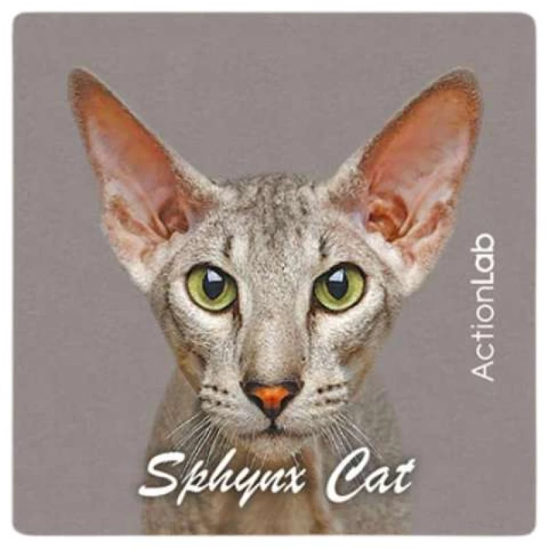 Action Lab Μαγνητάκι Magnet Spynx Cat