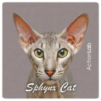 Action Lab Μαγνητάκι Magnet Spynx Cat