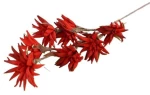 Κλαδί Globuria κόκκινο Η94cm