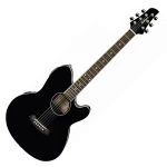 Ibanez TCY-10E BK