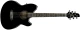 Ibanez TCY-10E BK