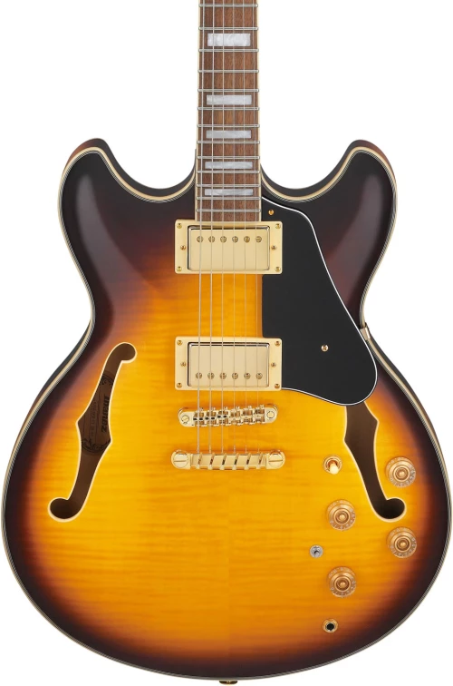 Ibanez JSM10EM-TTB Hollow Body